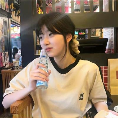 哈莱姆的郁金香